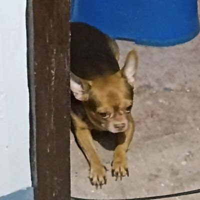 Deyn | birthmonth 🐰 6️⃣5️⃣🎹