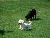 Bill-Jaclynn De Kuiper