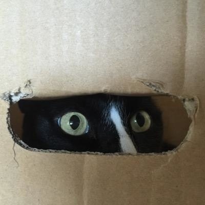 （；￣ェ￣）Keith Posehn