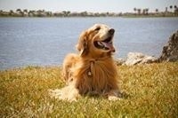 Clara Patricia Sanabria Betancourt