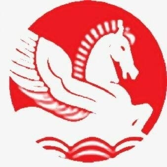 Singhal Industries Private limited