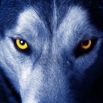 pablo michel piccioni