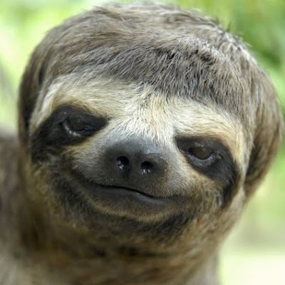 Ярослав Андрусяк