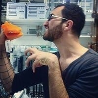 Darlan Carling von Dollinger