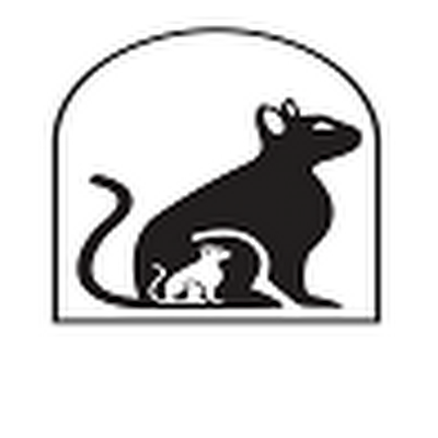 פרויקט סולומון