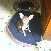 Sherry Cash Hammonds