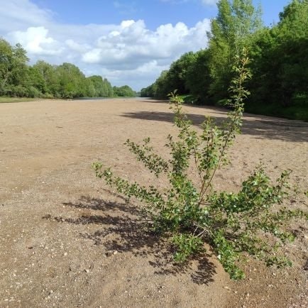 adi.lens 🛸💙,🧡 (💙,🧡) 🌸, 🌿 🤖🛸