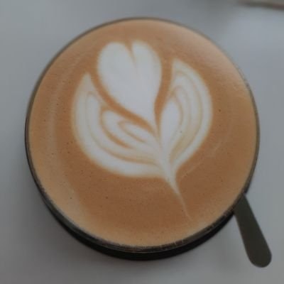 camellia🌺 | 🎄 $TTC