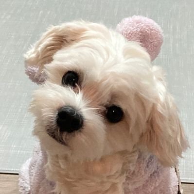 soji💜| wins juseyo