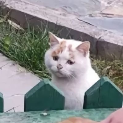 AKUPENGENBIGWIN🏆🏆