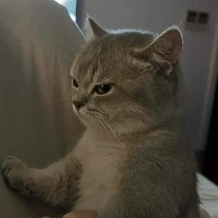 Nurza Syam | folback please 🙏