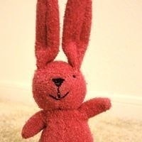 Stephanie Haidan Huang