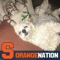 Denise Teehan Rothwell