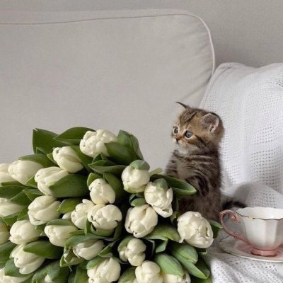 Kysml💞 # free tag🎟🎗