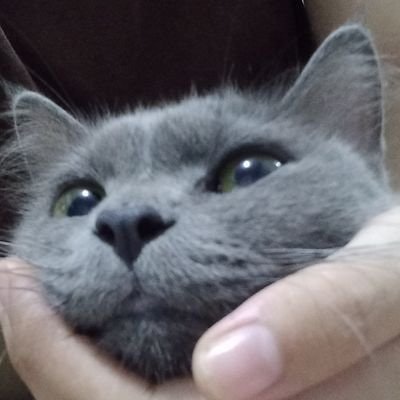 banjir bigwin°°freetag