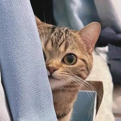 JX🌸☘️🍀 🎄$TTC