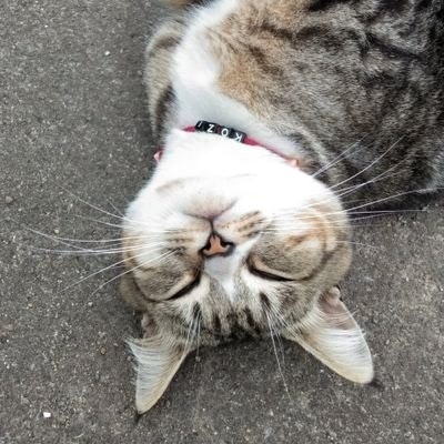 ☃️🆃🅸🅷 🅳🅾🅰🅽🅺💋