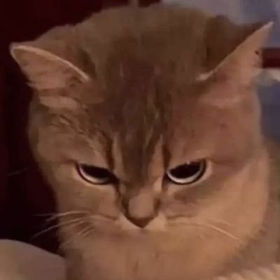 $TTC🎄seulsushi 🍀✨|