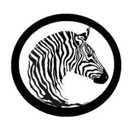 Cloudy Zebra