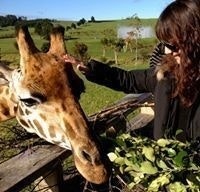 Alexandra-Jayeun Lee