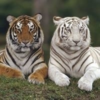 Михаил Ефимов