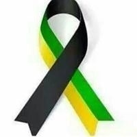 Alexandre José de Camargo