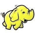 Hadoop Stars