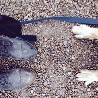 Shavonne Hasfal-Mc Intosh