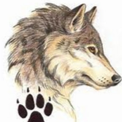 Nithilan Krishnakumar