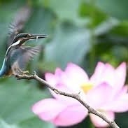 最内翔（ニート先生）