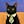 Cat F