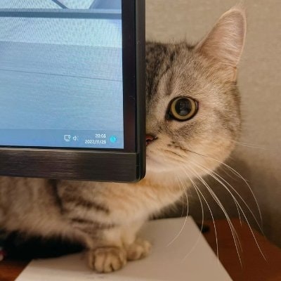 Kuro senpai (Rest Assured)