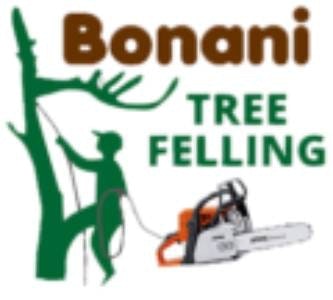 Tree Felling Centurion