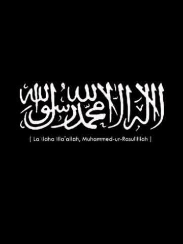 معتز محيي الدين