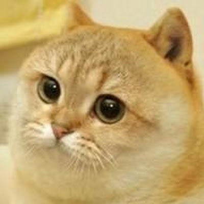 ProductHunt profile picture for @neutral