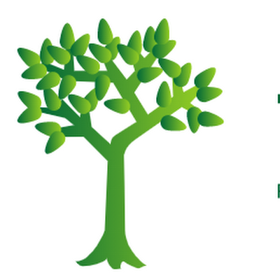 Tree Felling Hillcrest