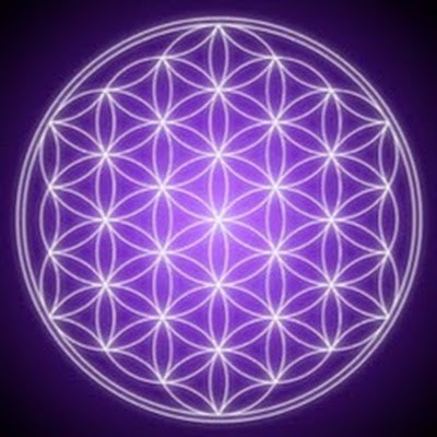 David Ballester Font