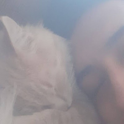 Vaderihg Alexander Bocanegra Uceda (Eden