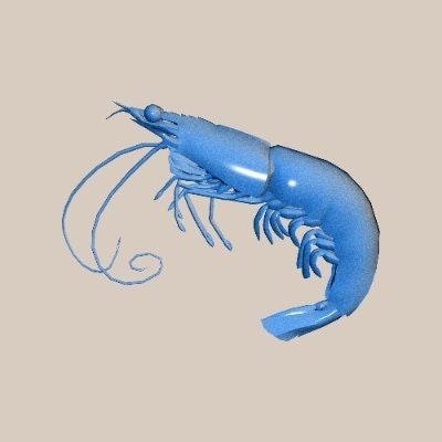 cryptoswag 🐍,🛸🐻⛓(📦,💫)(💙,🧡).lens