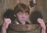 Сеитбекир Сейдаметов