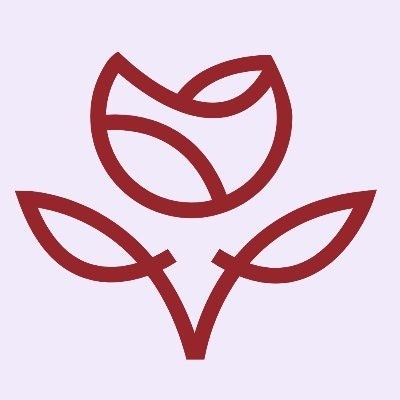 stem mz