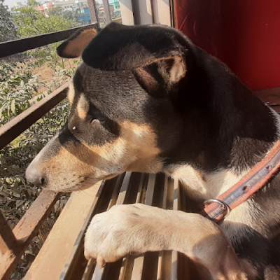 IpsitaShibnath Dutta