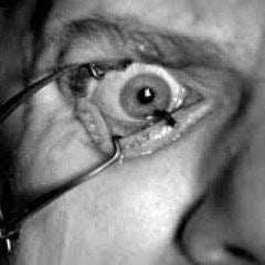 Information Overload