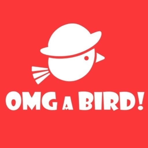 OMGaBird games