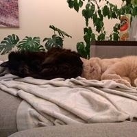 Игорь Ладутько