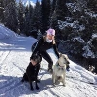 Carolyn Lowe Sterrett