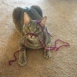 Luke Hamilton Carlso