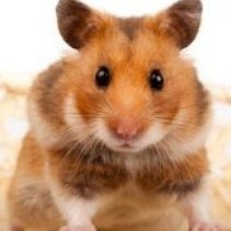 Crypto Max (💙,🧡)🛸(L3, ❄️)🔴✨