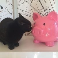 Augusto Brunelleschi