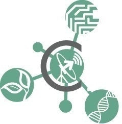 CapDecisifManagement